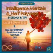 Intelligence Martiale & Nerf Polyvagal