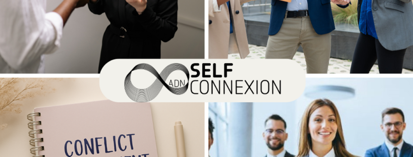 gestion des conflits avec 3 piliers complémentaires: CNV, TPV, intelligence martiale